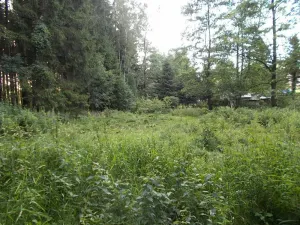 Prodej louky, Velký Šenov, 3266 m2