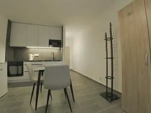 Pronájem bytu 1+kk, Dobřany, Sokolovská, 28 m2