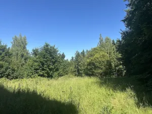 Pronájem bytu 1+1, Jablonec nad Nisou - Proseč nad Nisou, U Tenisu, 45 m2