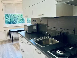 Pronájem bytu 1+1, Frýdek-Místek, Jeronýmova, 39 m2