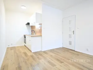 Pronájem bytu 2+kk, Most, Jana Kříže, 40 m2