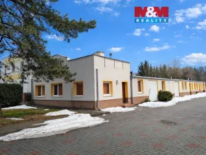 Pronájem obchodního prostoru, Teplice, Dubská, 460 m2