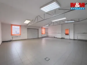 Pronájem obchodního prostoru, Teplice, Dubská, 460 m2