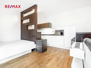 Pronájem bytu 1+kk, Praha - Žižkov, Olšanská, 37 m2