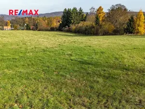 Prodej pozemku pro bydlení, Velká Bukovina, 1237 m2