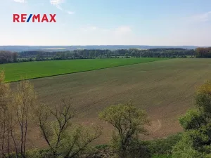 Prodej zemědělského objektu, Počedělice, 2500 m2