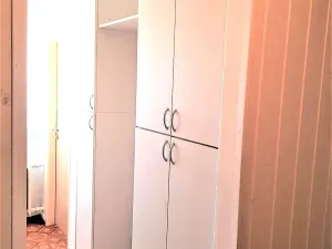 Pronájem bytu 2+1, České Budějovice, Pražská tř., 58 m2