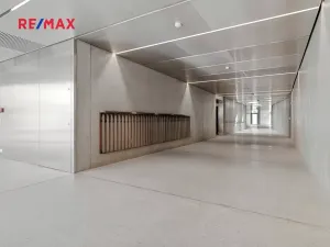 Pronájem bytu 2+kk, Praha - Karlín, Křižíkova, 79 m2