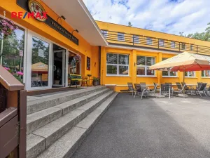 Prodej ubytování, Doksy, Pod Borným, 1700 m2