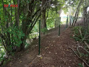 Prodej pozemku pro bydlení, Blažejovice, 3615 m2