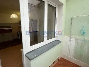 Prodej bytu 1+1, České Budějovice, K. Chocholy, 44 m2