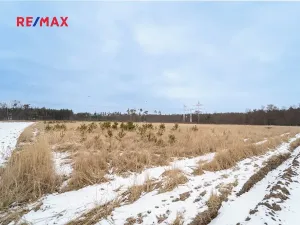 Prodej pole, Veltruby, 10898 m2