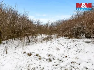 Prodej chaty, Černolice, Mezi zahrádkami, 80 m2