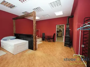 Prodej vícegeneračního domu, Nové Město pod Smrkem, Mírové náměstí, 466 m2