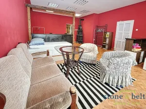 Prodej vícegeneračního domu, Nové Město pod Smrkem, Mírové náměstí, 466 m2