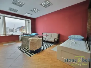 Prodej vícegeneračního domu, Nové Město pod Smrkem, Mírové náměstí, 466 m2