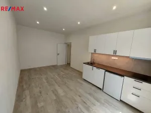 Pronájem bytu 1+kk, Praha - Bubeneč, dr. Zikmunda Wintra, 30 m2