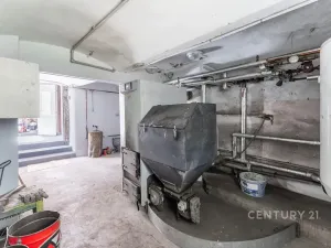 Prodej vícegeneračního domu, Kamýk nad Vltavou, 320 m2