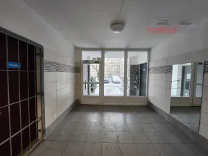 Prodej bytu 2+1, Brno, Šrámkova, 54 m2