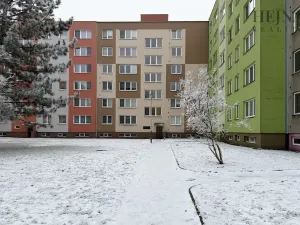 Prodej bytu 2+1, Ostrava, Dr. Malého, 44 m2