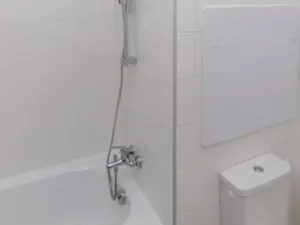 Prodej bytu 1+kk, Ostrava - Moravská Ostrava, Ahepjukova, 25 m2