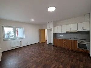Pronájem bytu 1+kk, Olomouc, Voskovcova, 33 m2