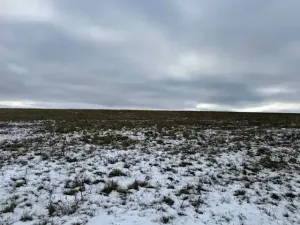 Dražba pole, Litoměřice, 8107 m2