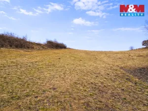 Prodej louky, Podmoky, 2480 m2