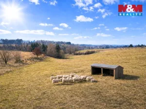 Prodej louky, Podmoky, 2480 m2