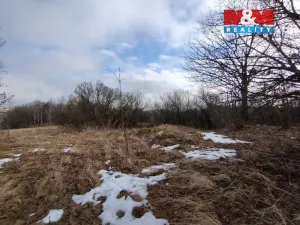 Prodej louky, Budišov nad Budišovkou, 6470 m2