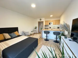 Pronájem bytu 1+kk, Zlín, Pod Hradem II, 27 m2