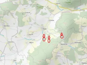 Prodej lesa, Poleň, 11901 m2