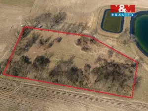 Prodej lesa, Tuřice, 7985 m2