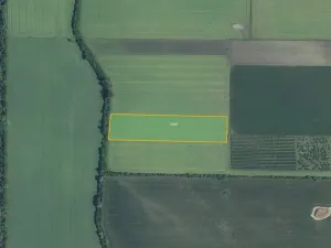 Prodej pole, Bavory, 27386 m2