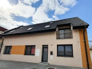 Prodej vícegeneračního domu, Pasohlávky, 320 m2