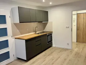 Prodej bytu 2+kk, Praha - Krč, Hurbanova, 41 m2