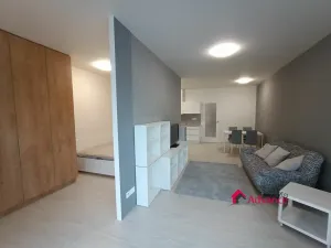 Pronájem bytu 1+kk, Ostrava, Důlní, 54 m2