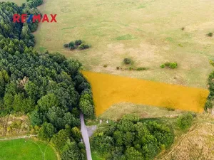 Prodej louky, Česká Lípa, 6261 m2