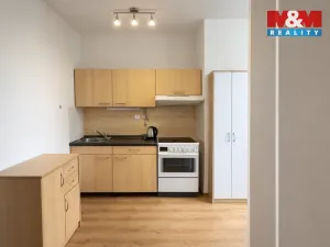 Prodej bytu 1+1, Písek - Budějovické Předměstí, Budějovická, 55 m2