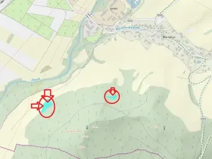 Prodej lesa, Velké Losiny, 7690 m2