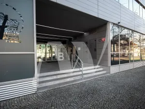 Pronájem obchodního prostoru, Praha - Holešovice, Jankovcova, 291 m2