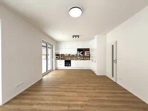 Pronájem bytu 2+kk, Únětice, Rýznerova, 50 m2