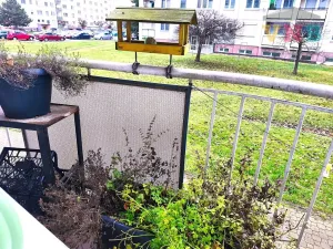 Prodej bytu 3+1, Olomouc, Handkeho, 92 m2