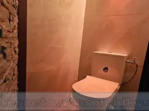 Pronájem bytu 2+kk, Praha - Vysočany, Za Klíčovem, 30 m2