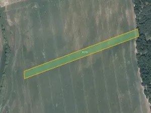 Prodej pole, Džbánice, 6560 m2