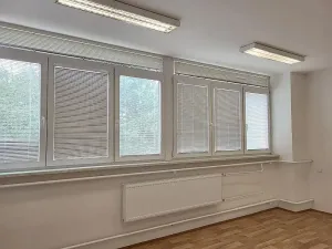 Pronájem kanceláře, Brno, Okružní, 24 m2