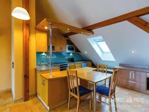 Pronájem bytu 1+kk, Tábor, Třebízského, 60 m2