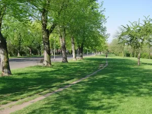 Pronájem bytu 2+kk, Praha - Žižkov, Buchovcova, 47 m2