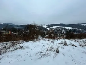 Dražba pozemku pro bydlení, Bušín, 3553 m2