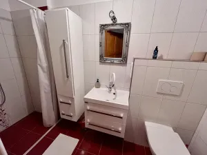 Prodej chalupy, Orlické Podhůří, 267 m2